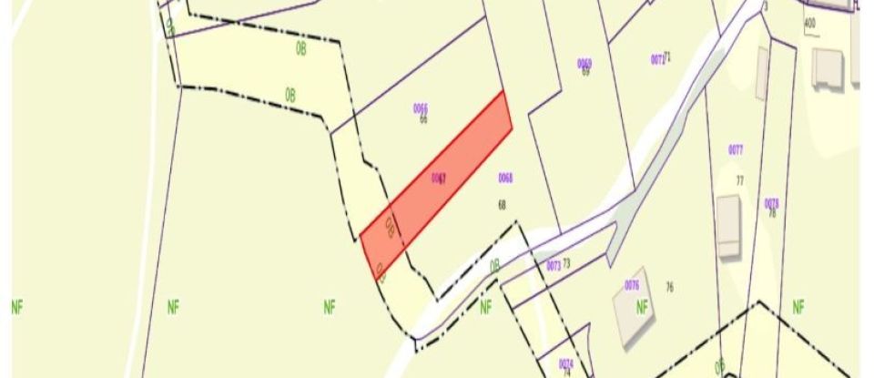Land of 3,385 m² in Wingen-sur-Moder (67290)