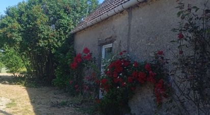 House 6 rooms of 131 m² in Briou (41370)