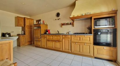 House 5 rooms of 119 m² in Dollon (72390)