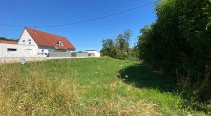 Land of 1,364 m² in Neewiller-près-Lauterbourg (67630)