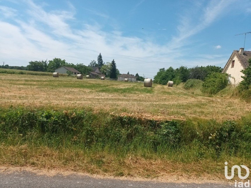 Land of 2,000 m² in Beaulieu-sur-Loire (45630)