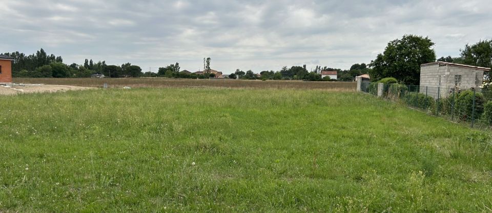 Terrain de 2 000 m² à Montauban (82000)