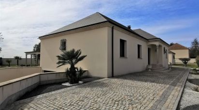 Maison 7 pièces de 210 m² à Chaingy (45380)