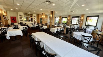 Restaurant of 484 m² in Villebon-sur-Yvette (91140)
