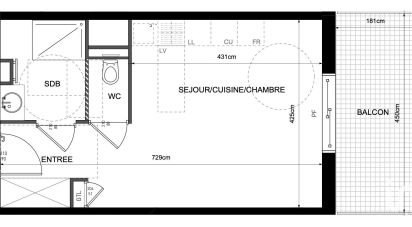 Appartement 1 pièce de 29 m² à Lyon (69006)