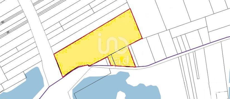 Land of 11,650 m² in Grez-sur-Loing (77880)