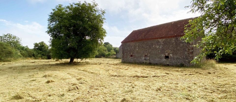 Barn conversion 3 rooms of 85 m² in Châteauneuf-Val-de-Bargis (58350)
