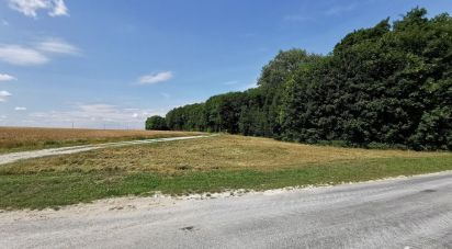 Land of 1,853 m² in Souain-Perthes-lès-Hurlus (51600)