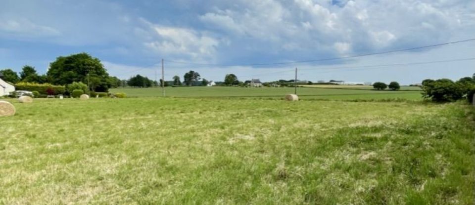 Terrain de 1 000 m² à Plozévet (29710)
