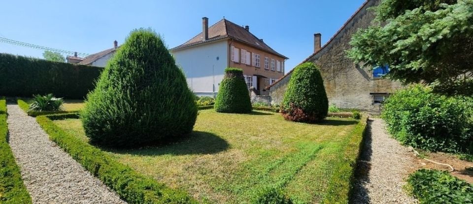 Maison de ville 10 pièces de 266 m² à Puttelange-aux-Lacs (57510)