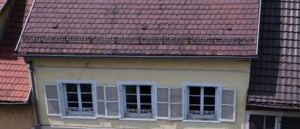 Vente Immeuble 415m² 10 Pièces à Altkirch (68130) - Iad France