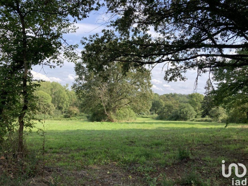 Land of 15,600 m² in Charbuy (89113)