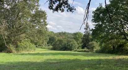 Land of 15,600 m² in Charbuy (89113)