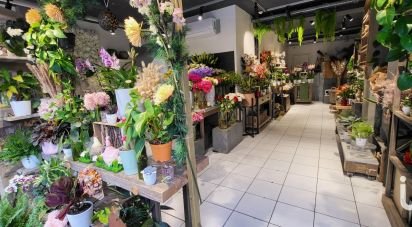 Retail property of 55 m² in Noisy-le-Grand (93160)