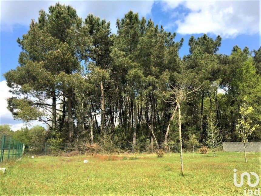 Terrain de 590 m² à Bussac-Forêt (17210)