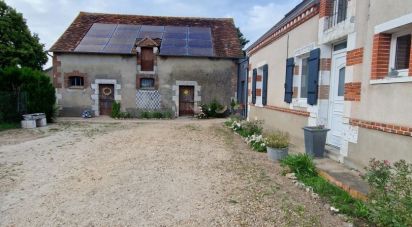 Maison 8 pièces de 191 m² à Sully-sur-Loire (45600)