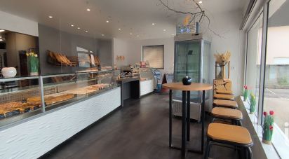 Bakery of 178 m² in Barbazan-Debat (65690)