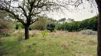 Land of 850 m² in Martres-Tolosane (31220)