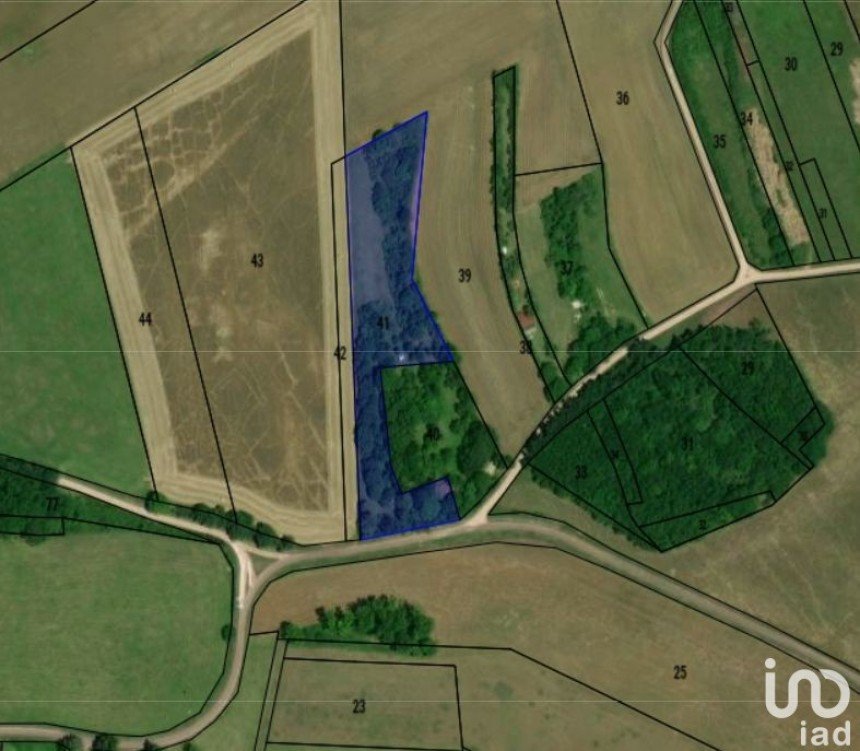 Terrain de 8 799 m² à Montigny-Montfort (21500)