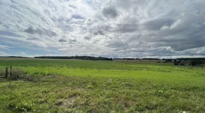 Land of 1,308 m² in Melleroy (45220)