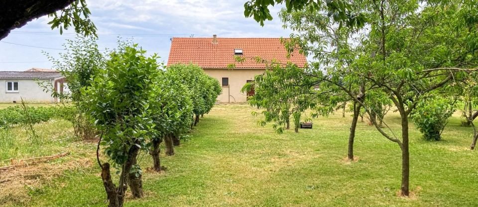 House 8 rooms of 120 m² in Mauges-sur-Loire (49410)