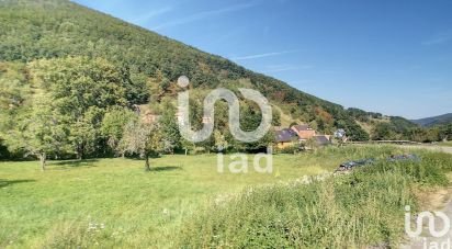 Land of 1,481 m² in Wasserbourg (68230)