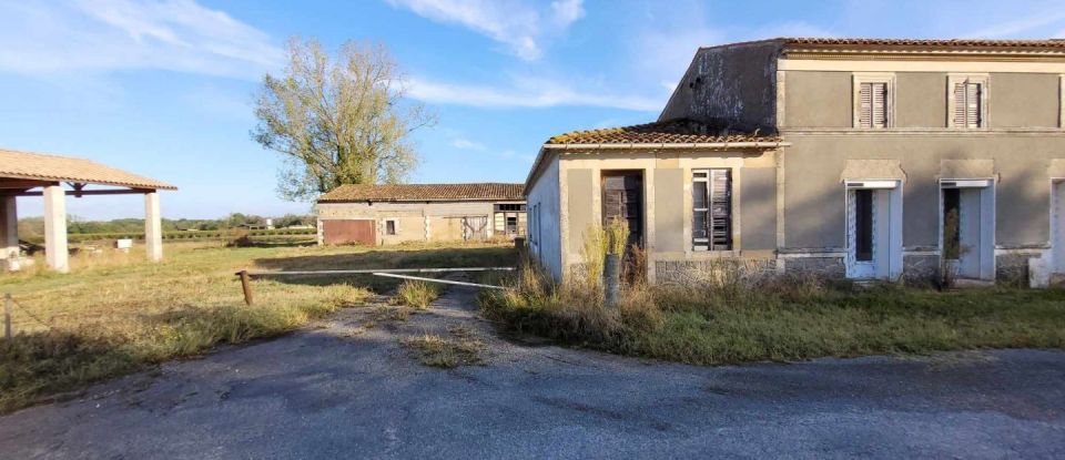 Maison 3 pièces de 135 m² à Saint-Ciers-sur-Gironde (33820)