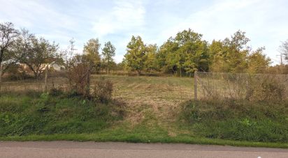 Land of 1,185 m² in Andryes (89480)