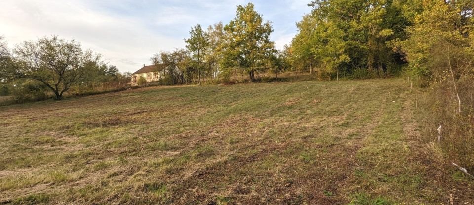 Land of 1,185 m² in Andryes (89480)