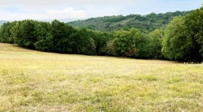 Land of 15,000 m² in Peyzac-le-Moustier (24620)