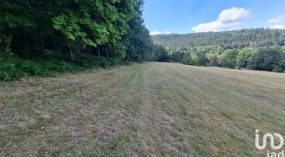 Land of 3,591 m² in Anould (88650)