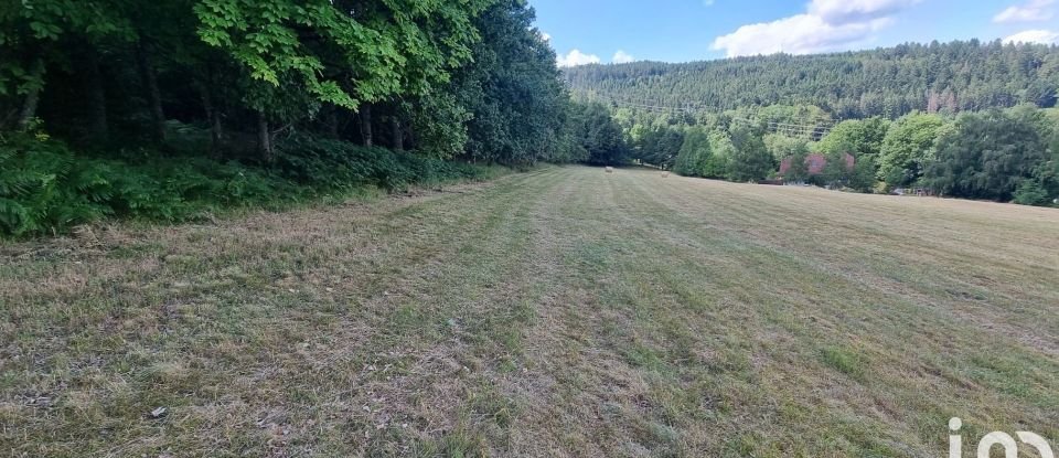 Land of 3,591 m² in Anould (88650)