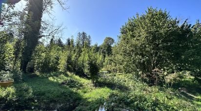 Land of 17,000 m² in Boult-sur-Suippe (51110)