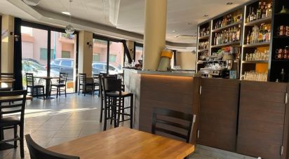 Bar-brasserie de 250 m² à Mandelieu-la-Napoule (06210)