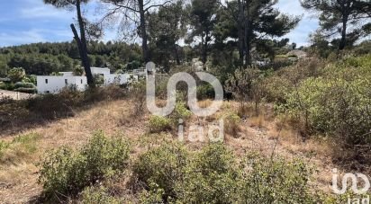 Land of 2,600 m² in Bandol (83150)