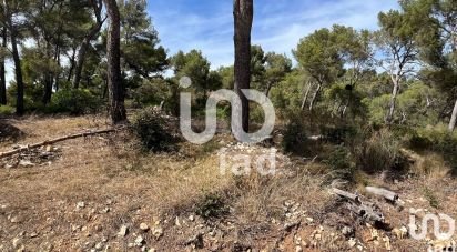 Land of 2,600 m² in Bandol (83150)