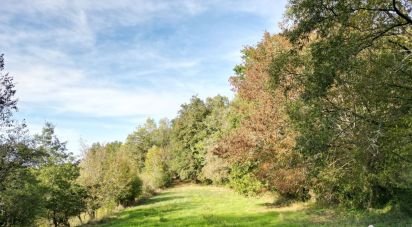Land of 4,517 m² in Carsac-Aillac (24200)