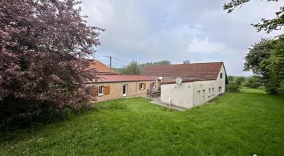 House 7 rooms of 300 m² in Reclinghem (62560)