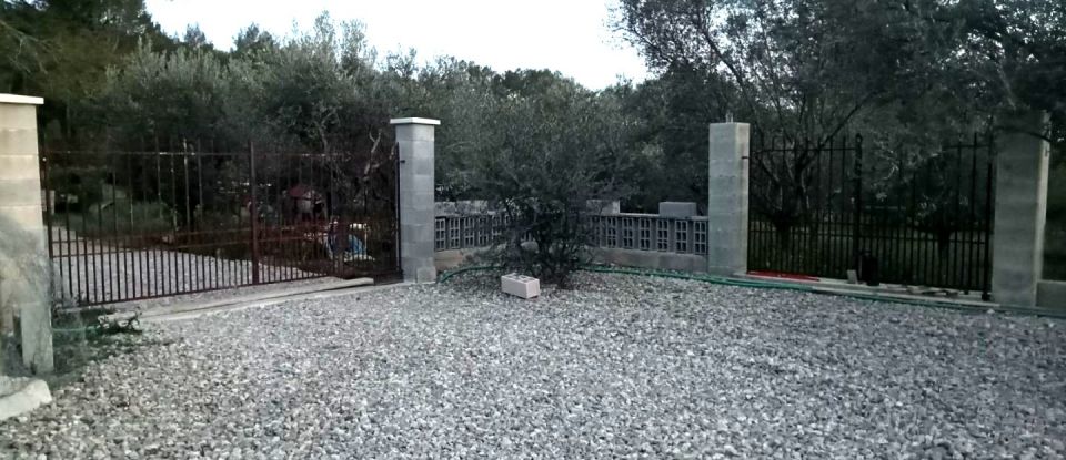 Terrain de 1 000 m² à Callas (83830)