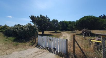 Terrain de 5 753 m² à Saint-Pierre-Quiberon (56510)