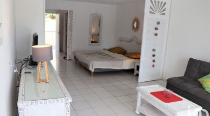 Appartement 1 pièce de 39 m² à Saint-Martin (97150)