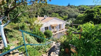 House 4 rooms of 96 m² in Cabrerolles (34480)