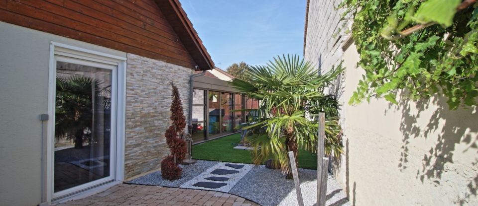 House 7 rooms of 162 m² in La Veuve (51520)