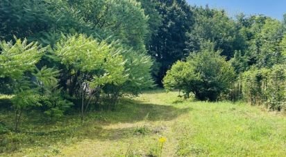 Land of 2,459 m² in Courtenot (10260)