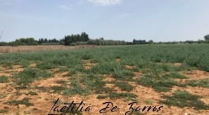 Land of 8,000 m² in Lansargues (34130)