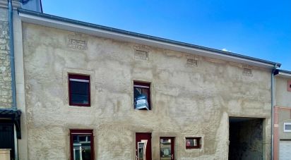 Maison 10 pièces de 400 m² à Varsberg (57880)