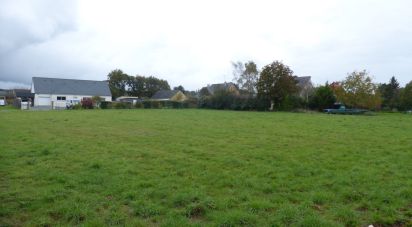 Land of 3,705 m² in Saint-Perreux (56350)