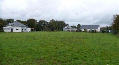 Terrain de 3 705 m² à Saint-Perreux (56350)