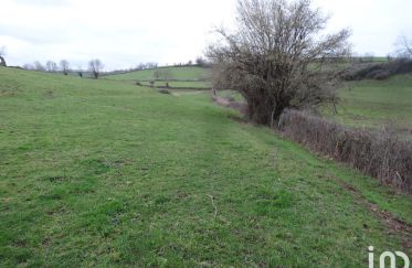 Land of 21,450 m² in Briant (71110)