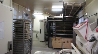 Boulangerie de 245 m² à Agde (34300)